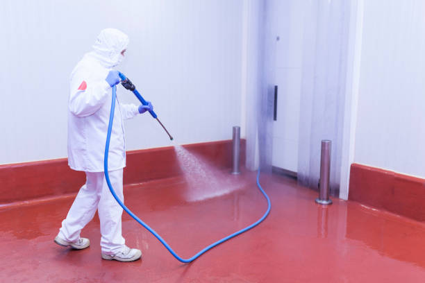 Best Playground Equipment Cleaning  in Greenville, NY