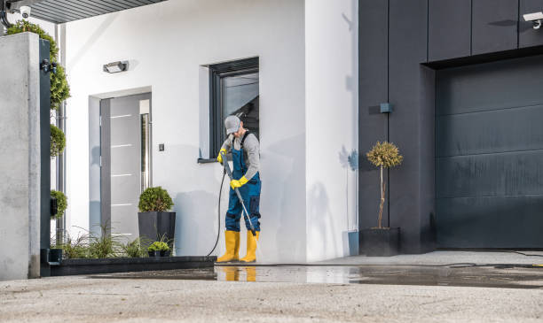 Best Solar Panel Cleaning  in Greenville, NY